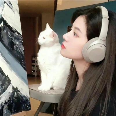菊石 在线观看封面