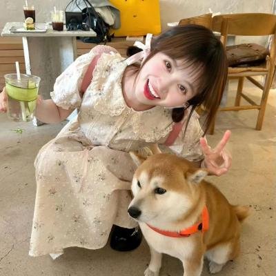 大道 在线观看封面